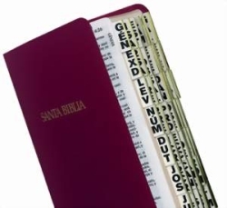 Spanish Bible Tabs - Etiquetas de Biblia - Letra Grande - Chapelgifts