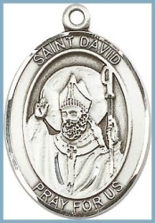 St David Medal - Sterling Silver - Medium