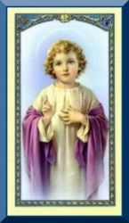 Little White Guest Holy Card