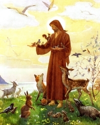 St Francis Poster Print