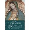 The Wonder of Guadalupe